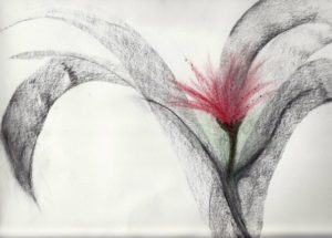 Charcoal Flower